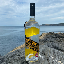 A bottle of Master award-winning Cardi Bay Vodka standing on a rock at Aberporth beach, with a view of Cardigan Bay and the Ceredigion coastline in the background.